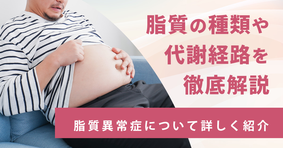 脂質の種類や代謝経路を徹底解説｜脂質異常症について詳しく紹介