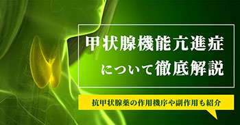 甲状腺機能亢進症について徹底解説｜抗甲状腺薬の作用機序や副作用も紹介