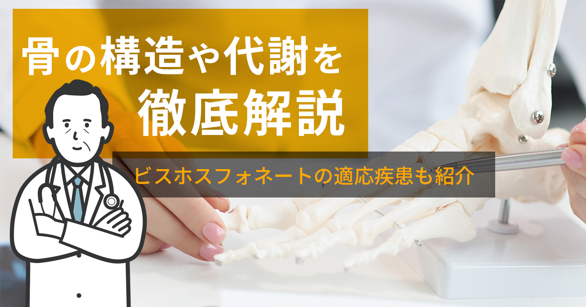 骨の構造や代謝を徹底解説｜ビスホスフォネートの適応疾患も紹介