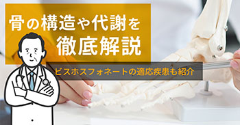 骨の構造や代謝を徹底解説｜ビスホスフォネートの適応疾患も紹介