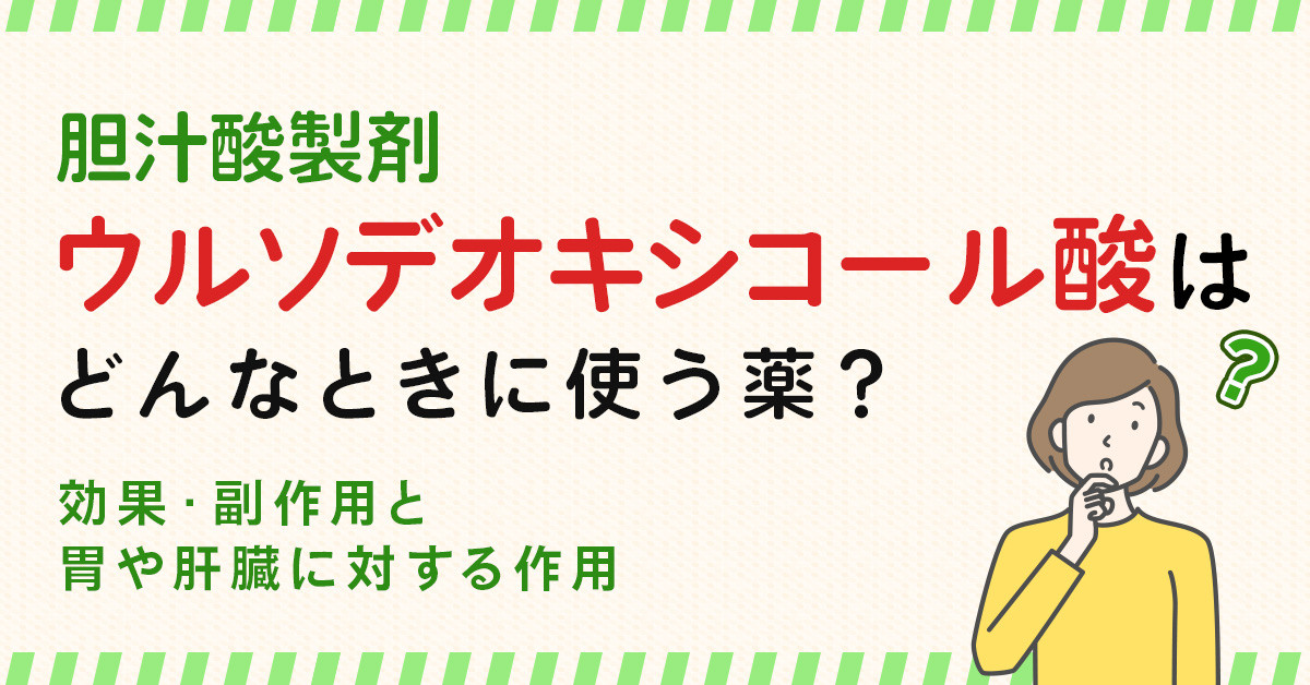 胆汁酸製剤ウルソデオキシコール酸はどんなときに使う薬？効果・副作用と胃や肝臓に対する作用