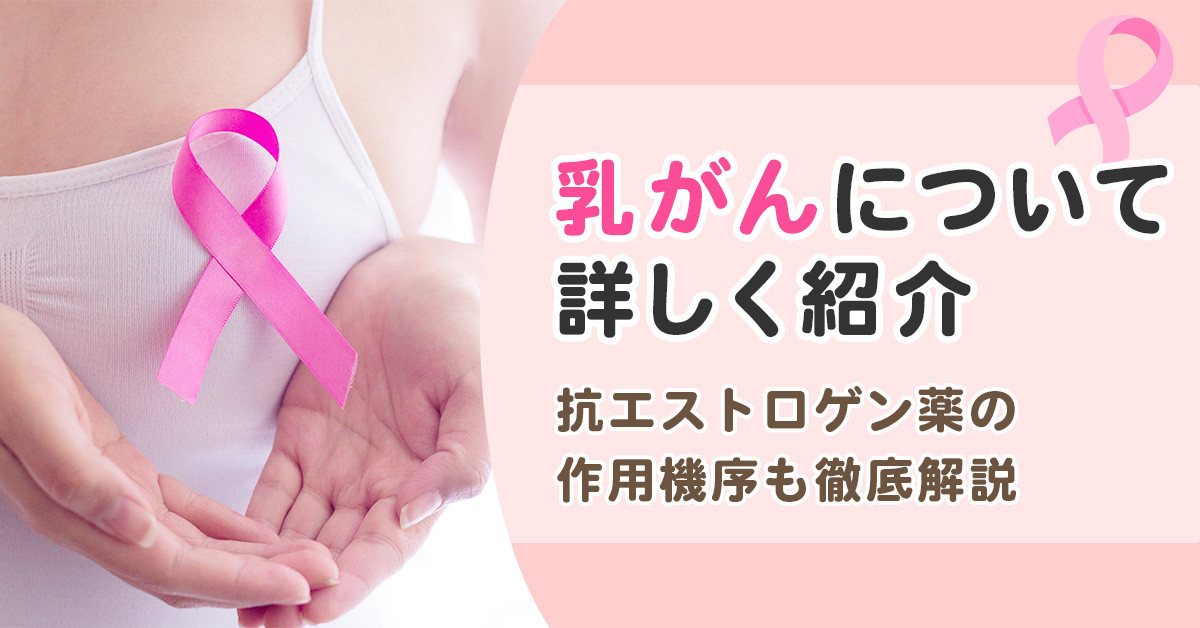 乳がんについて詳しく紹介｜抗エストロゲン薬の作用機序も徹底解説
