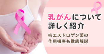 乳がんについて詳しく紹介｜抗エストロゲン薬の作用機序も徹底解説