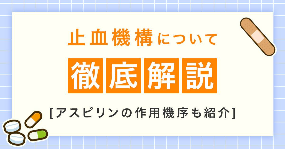 止血機構について徹底解説｜アスピリンの作用機序も紹介