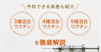 3種混合ワクチン・4種混合ワクチン・5種混合ワクチンを徹底解説｜予防できる疾患も紹介