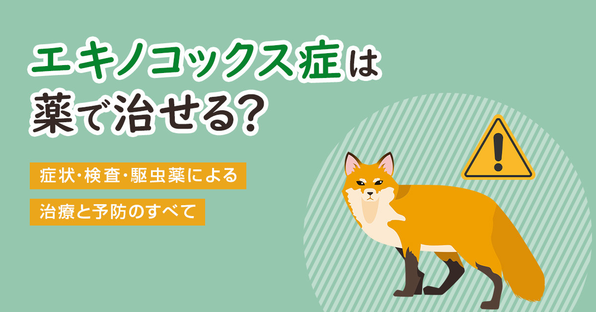 エキノコックス症は薬で治せる？症状・検査・駆虫薬による治療と予防のすべて
