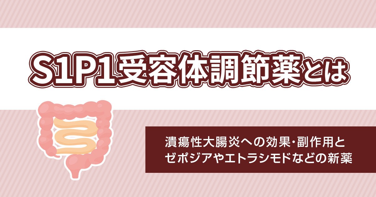 S1P1受容体調節薬とは｜潰瘍性大腸炎への効果・副作用とゼポジアやエトラシモドなどの新薬
