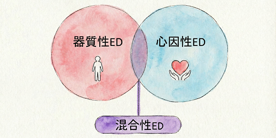 EDとは？