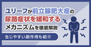 ユリーフが前立腺肥大症の尿路症状を緩和するメカニズムを徹底解説｜生じやすい副作用も紹介