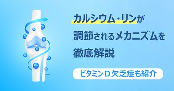 カルシウム・リンが調節されるメカニズムを徹底解説｜ビタミンＤ欠乏症も紹介
