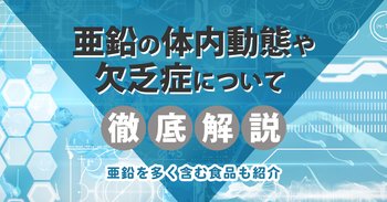 亜鉛の体内動態や欠乏症について徹底解説｜亜鉛を多く含む食品も紹介
