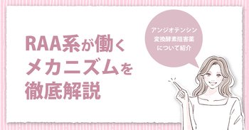 RAA系が働くメカニズムを徹底解説｜アンジオテンシン変換酵素阻害薬について紹介