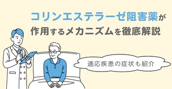 コリンエステラーゼ阻害薬が作用するメカニズムを徹底解説｜適応疾患の症状も紹介