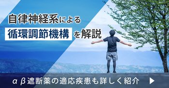 自律神経系による循環調節機構を解説｜αβ遮断薬の適応疾患も詳しく紹介
