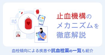 止血機構のメカニズムを徹底解説｜血栓傾向による疾患や抗血栓薬の一覧も紹介