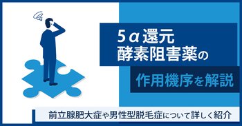 5α還元酵素阻害薬の作用機序を解説｜前立腺肥大症や男性型脱毛症について詳しく紹介