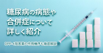 糖尿病の病態や合併症について詳しく紹介｜DPP-4阻害薬の作用機序も徹底解説