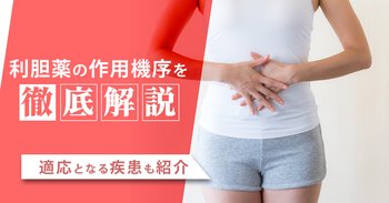 利胆薬の作用機序を徹底解説｜適応となる疾患も紹介
